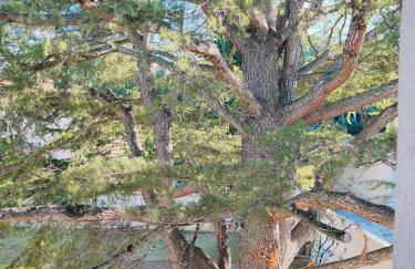 Les Hauts de Varage - Studio Dinéol - Foto 19