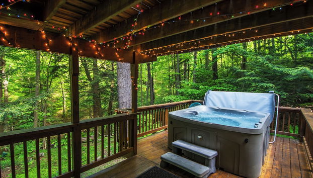 Bearbnb by Taylor Made Deep Creek - Foto 5, Servicios del alojamiento