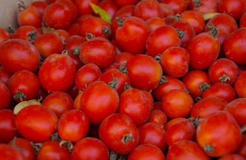 Domus Agricolae Corallina - Foto 52