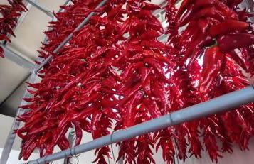 Casa Planet - Photo 43