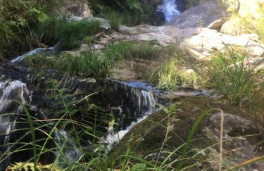 Palheiro do Vale do Paiva - Foto 31