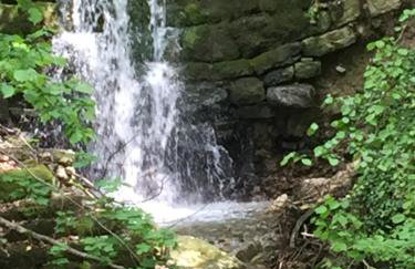 Ferienidyll Aumühle "Muswiese" - Foto 48