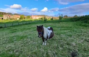 Cabana Toxosoutos - Foto 16