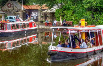 The Little Beech Tree - Foto 43