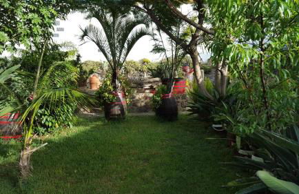 Finca Paraiso Casa Rural Tenerife - Foto 46