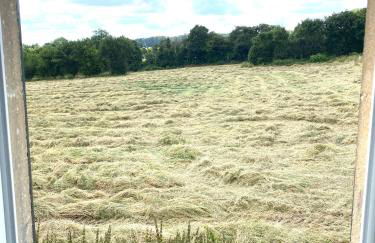La Maison de Méguillaume - Proche Haras du Pin et Argentan - Calme - Foto 16
