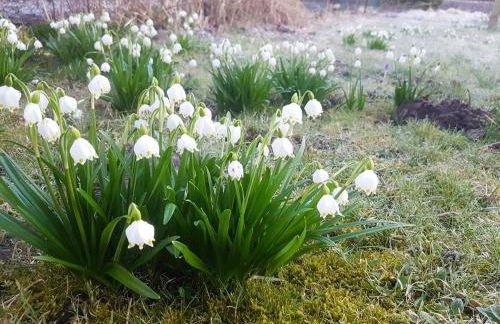 Ferienhaus Salvia - Foto 79