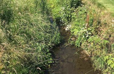 Wend Gardens Studio Carleton Skipton Pet Friendly - Foto 30