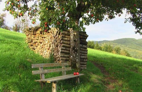 Ferienwohnungen Golla-lang - Foto 27