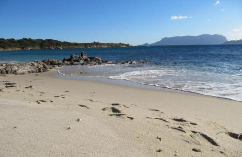 Bados Mare - Foto 48