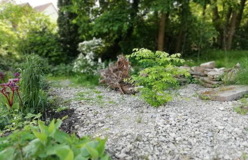 Forest Guest House - Foto 13