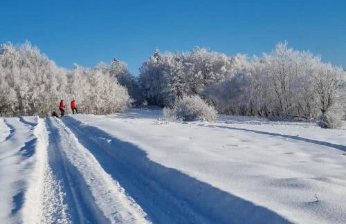 Beskidzki Reset - Foto 35