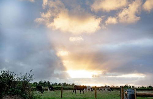 Frankaborough Lodge - Foto 36