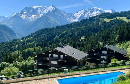 Studio cabine Au Loup Blanc avec vue Mont Blanc - Foto 24