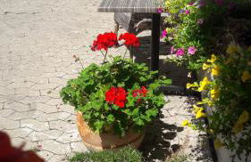 Schrammi's Ferienwohnung - Foto 36