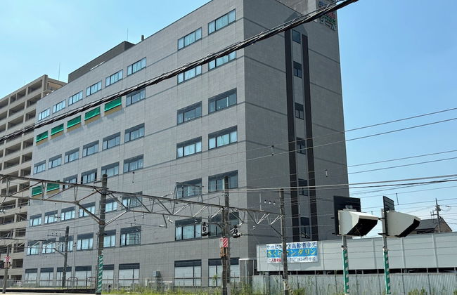 SakuraMandarin - Foto 1