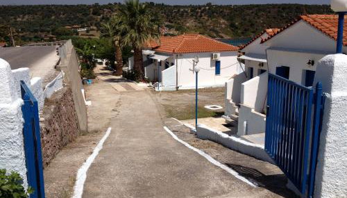 George Paradise - Foto 3