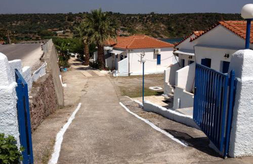 George Paradise - Foto 3