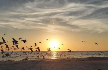 Pelican Pointe 2A - Foto 46