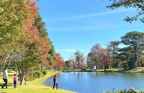 Studio Super Luxo Laje de Pedra MV (3019) - Foto 11