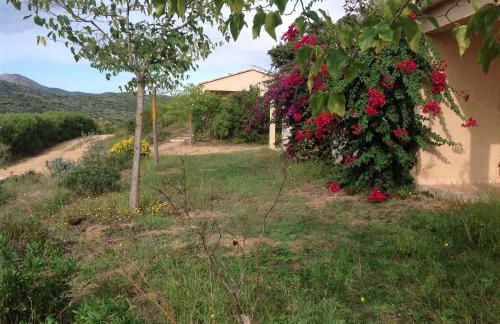 Residence Cucunacciu - Foto 33