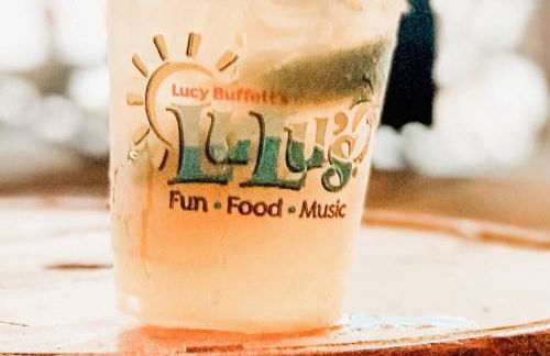 The Nautilus - Foto 49