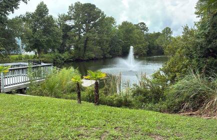 Sandpiper Cottage - 30 Day Rental - Foto 22