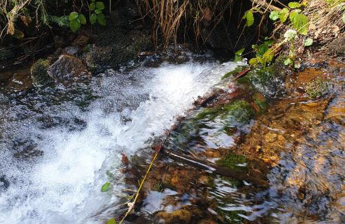 Chata góralska Wojtasówka - Foto 46