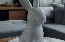 Ferienhaus Landbrücke - Foto 31