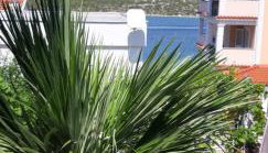 ŠPARADIĆI - Photo 5, Garden