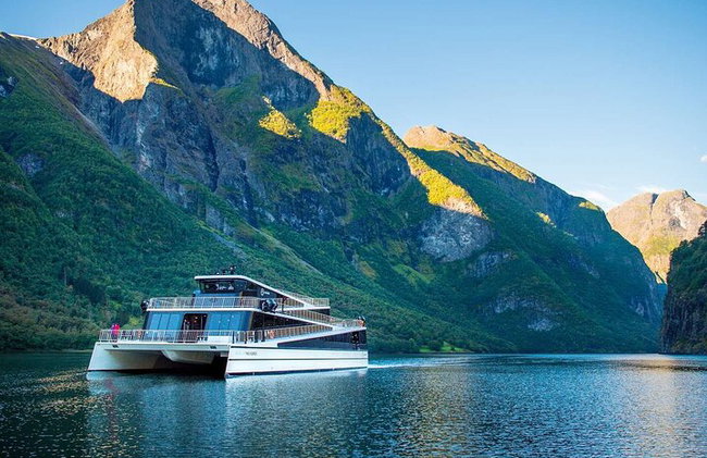 Ferrovia Flam, crociera Nærøyfjorden e punto panoramico Stegastein - Foto 3