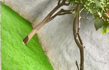 L apartment - Foto 29