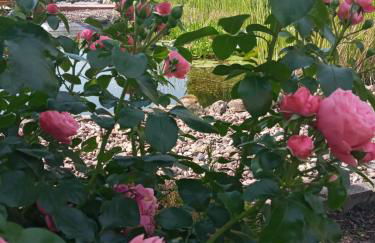 Ferienwohnung Tölle - Foto 8