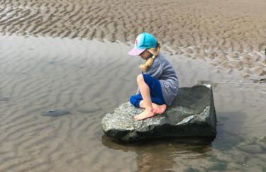 Snowdonia Mawddach escape - Foto 66