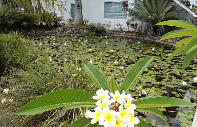 Mango House Resort - Photo 22