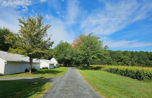 Swan Hollow - Foto 8