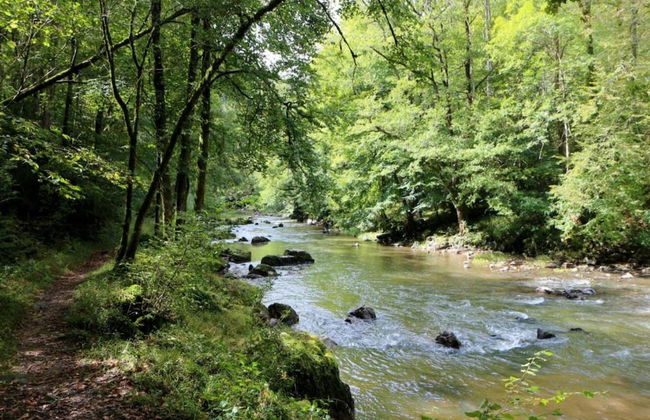 Group Villa With Pool & Sauna - Foto 40