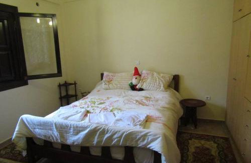 Ανάμεσα στα Έλατα - Foto 16