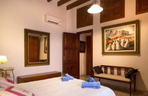 Finca Pina - Photo 24