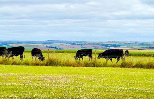 Rural retreat near the Sea - Foto 32