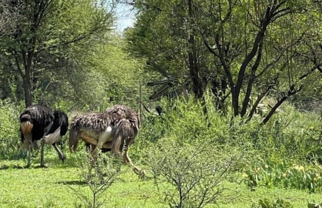 Kings View Exclusive Villas - Foto 47