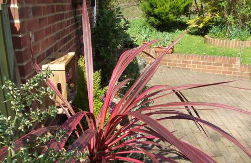 Queens Road Rental - Winchester Accommodation - Foto 56