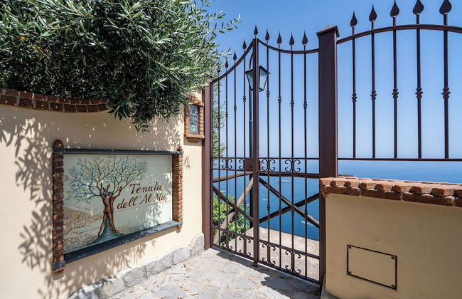 Tenuta dell'AlMa - Foto 1