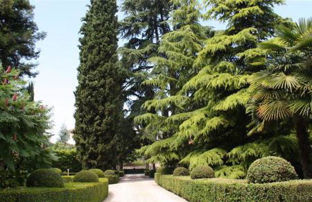 Villa Avesani - Foto 20