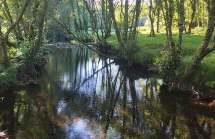 Casa da Labaceira - Foto 46