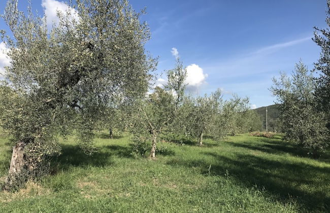 Rustic Holiday Home in Corciano With Swimming Pool - Foto 21