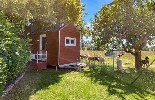 Tiny House auf der Alpaka Farm - Foto 1