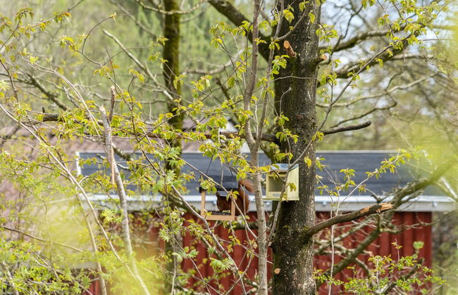 "Kea" - 30km from the sea - Foto 13