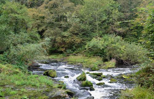 The Wheelhouse - Foto 16