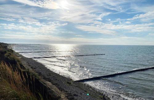 Seeschwalbe in der Alten Seefahrtschule - Foto 20